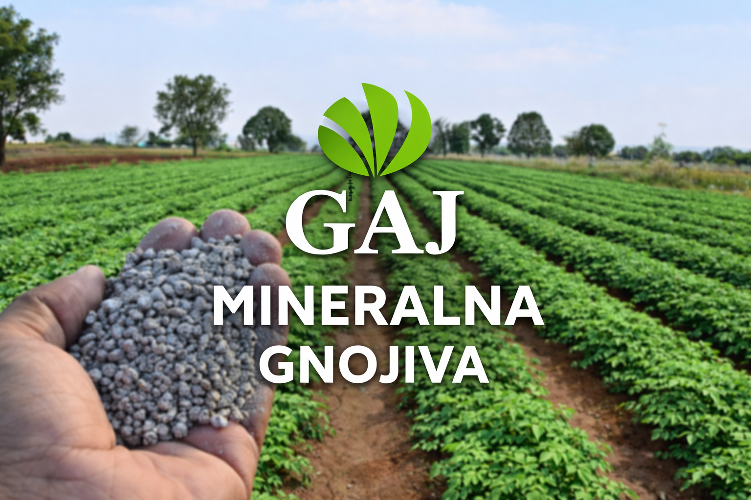 Mineralna gnojiva GAJ – ruka s NPK granulama iznad poljoprivrednog polja s usjevima u redovima