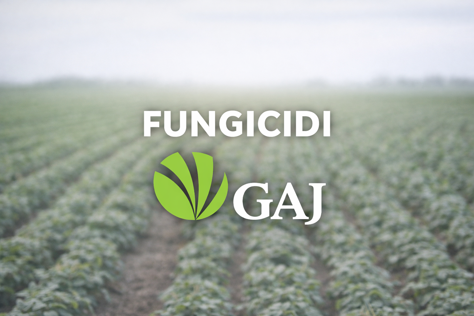 Fungicidi GAJ – zaštita usjeva na poljoprivrednoj parceli