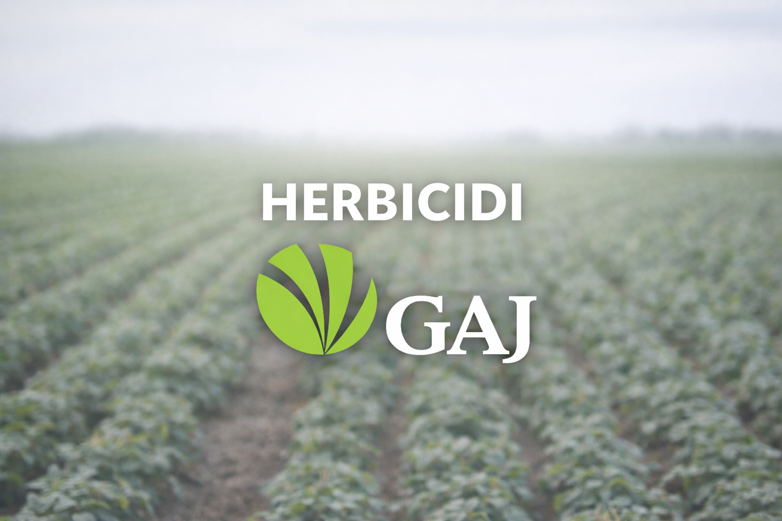 Herbicidi GAJ – zaštita usjeva od korova na poljoprivrednoj parceli