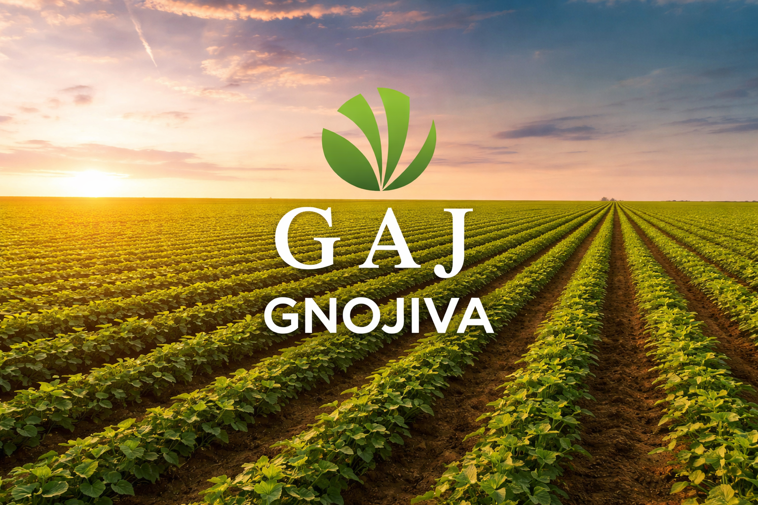 GAJ gnojiva – poljoprivredno polje u zalasku sunca s GAJ logom