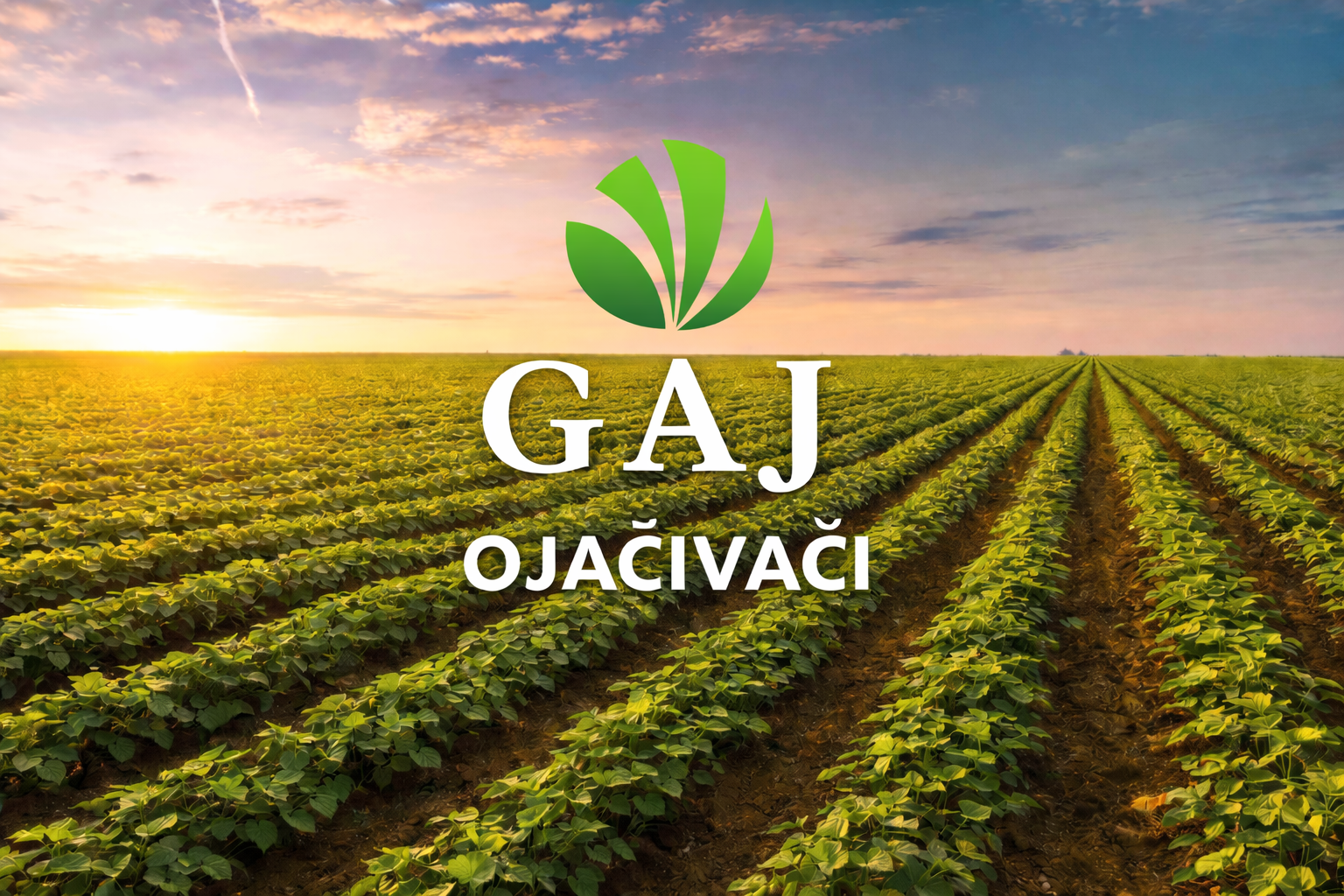 GAJ OJAČIVAČI – poljoprivredno polje s GAJ logom